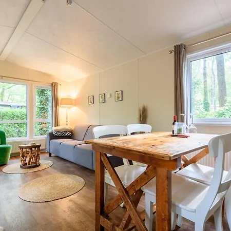 Kamp alanı Veluwe Aan Het Bos - Kids - Pool - Dog