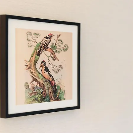 Veluwe Aan Het Bos - Kids - Pool - Dog *