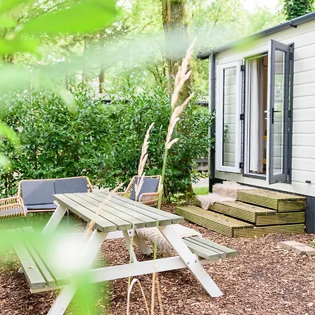 Campsite Veluwe Aan Het Bos - Kids - Pool - Dog Hoenderloo