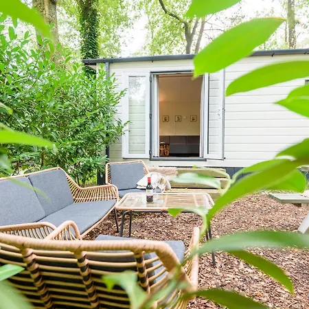 Veluwe Aan Het Bos - Kids - Pool - Dog Hoenderloo