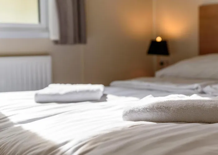 Veluwe Aan Het Bos - Kids - Pool - Dog * Hoenderloo