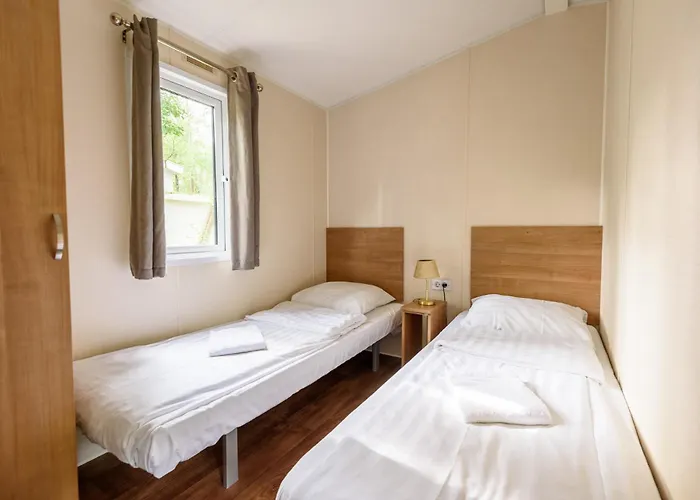 Veluwe Aan Het Bos - Kids - Pool - Dog Campeggio