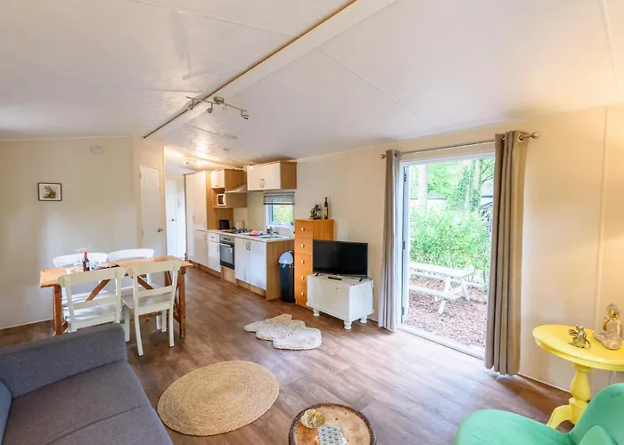 Veluwe Aan Het Bos - Kids - Pool - Dog Hoenderloo