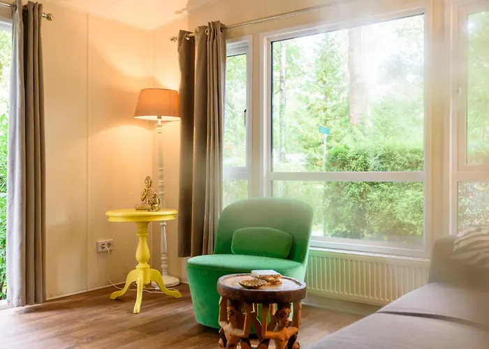 Campeggio Veluwe Aan Het Bos - Kids - Pool - Dog *