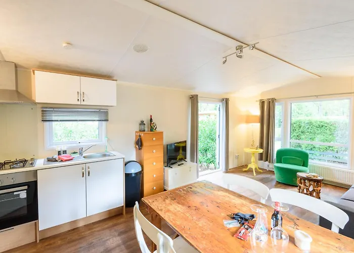 Veluwe Aan Het Bos - Kids - Pool - Dog Campeggio *