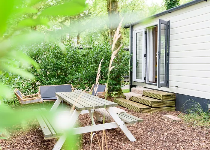 Campeggio Veluwe Aan Het Bos - Kids - Pool - Dog Hoenderloo