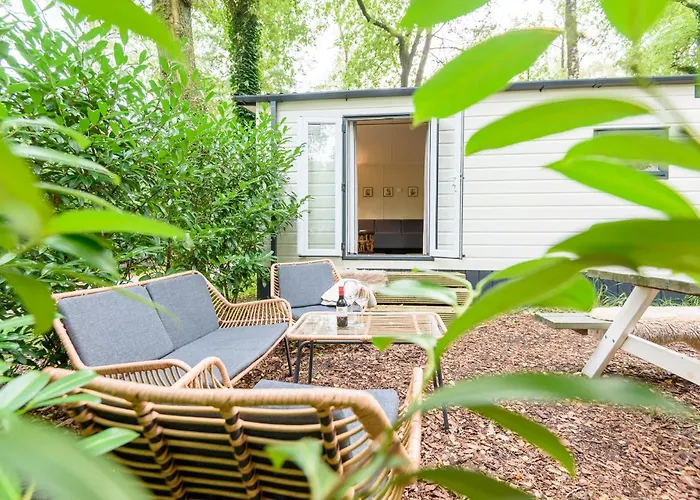 Veluwe Aan Het Bos - Kids - Pool - Dog Hoenderloo