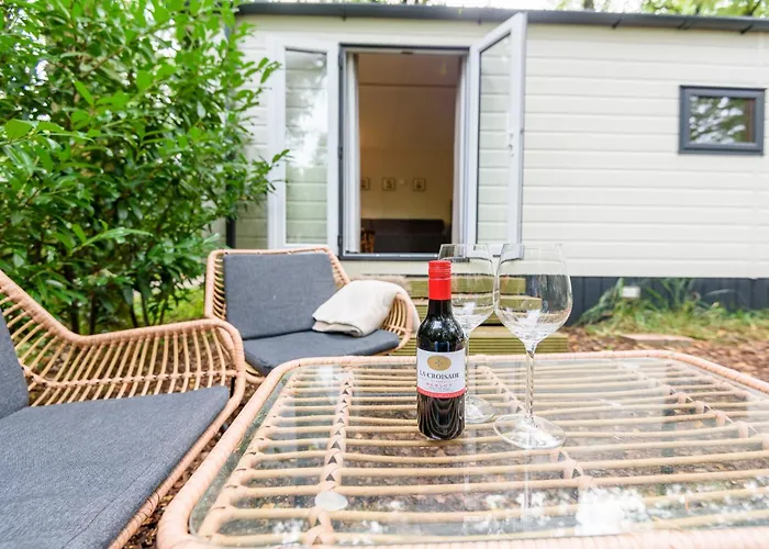 Veluwe Aan Het Bos - Kids - Pool - Dog