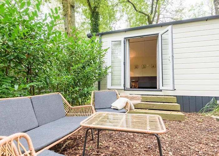 Veluwe Aan Het Bos - Kids - Pool - Dog * Hoenderloo