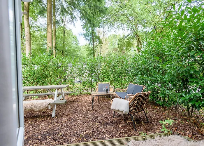 Veluwe Aan Het Bos - Kids - Pool - Dog