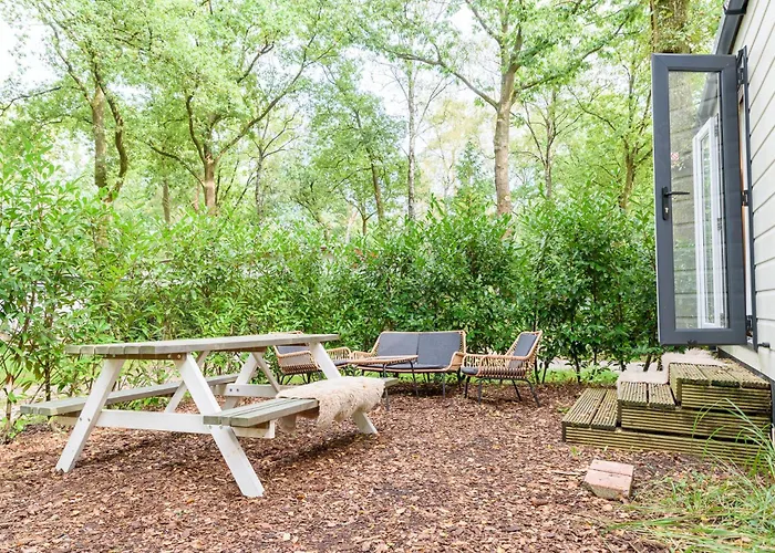 Campeggio Veluwe Aan Het Bos - Kids - Pool - Dog Hoenderloo