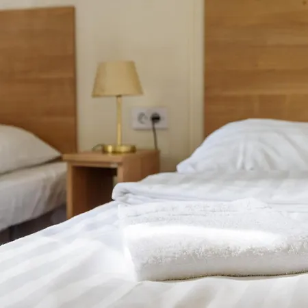 Veluwe Aan Het Bos - Kids - Pool - Dog *