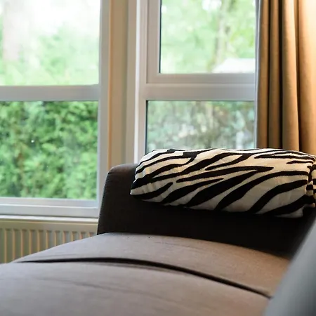 Veluwe Aan Het Bos - Kids - Pool - Dog 캠프장 *