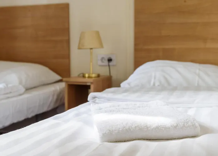 Veluwe Aan Het Bos - Kids - Pool - Dog *