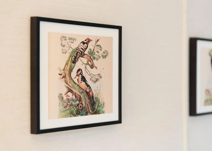 Veluwe Aan Het Bos - Kids - Pool - Dog *