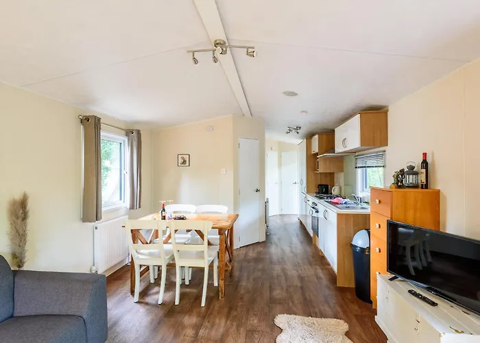 Veluwe Aan Het Bos - Kids - Pool - Dog