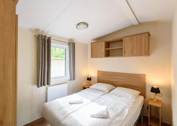 Veluwe Aan Het Bos - Kids - Pool - Dog