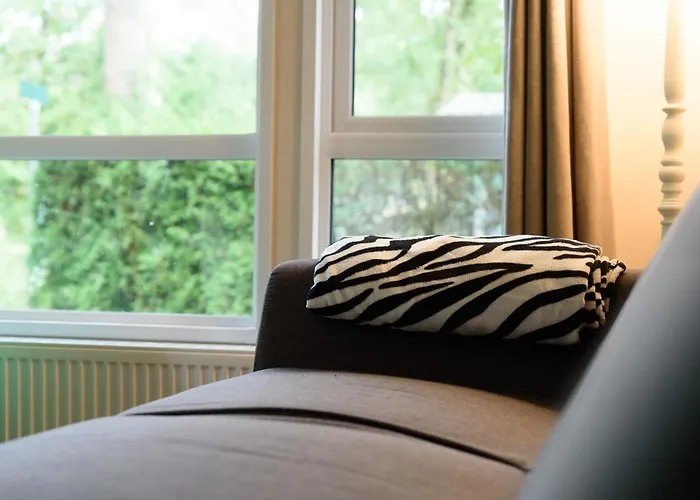 Veluwe Aan Het Bos - Kids - Pool - Dog 캠프장 *