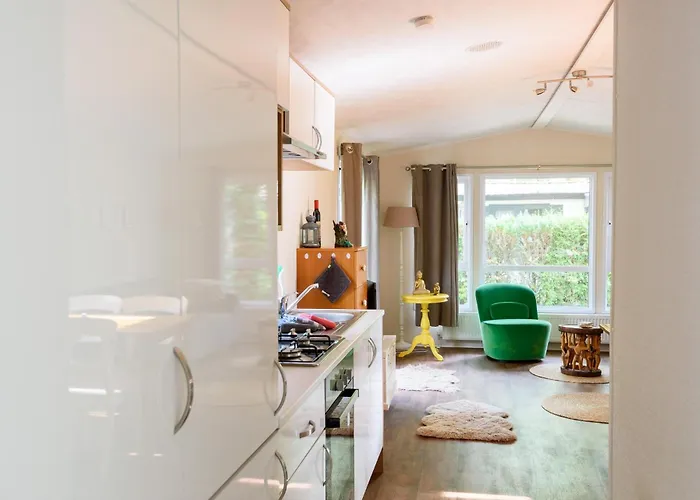 캠프장 Veluwe Aan Het Bos - Kids - Pool - Dog 헨덜루