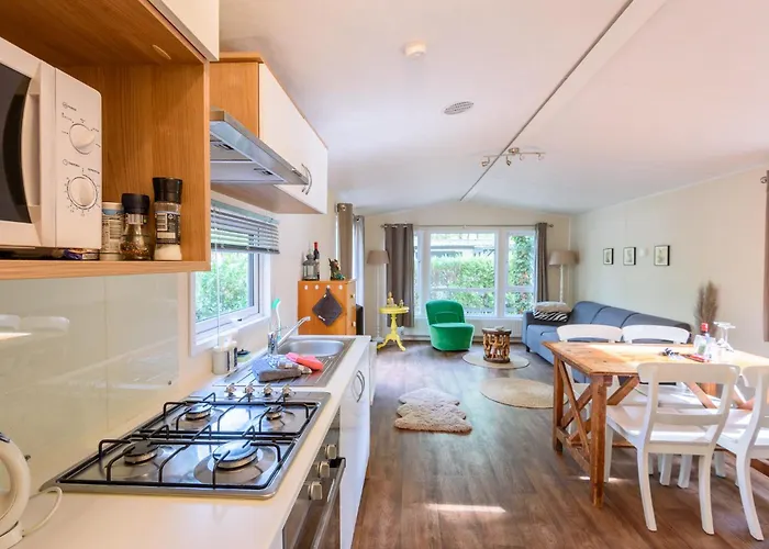 Veluwe Aan Het Bos - Kids - Pool - Dog * 헨덜루